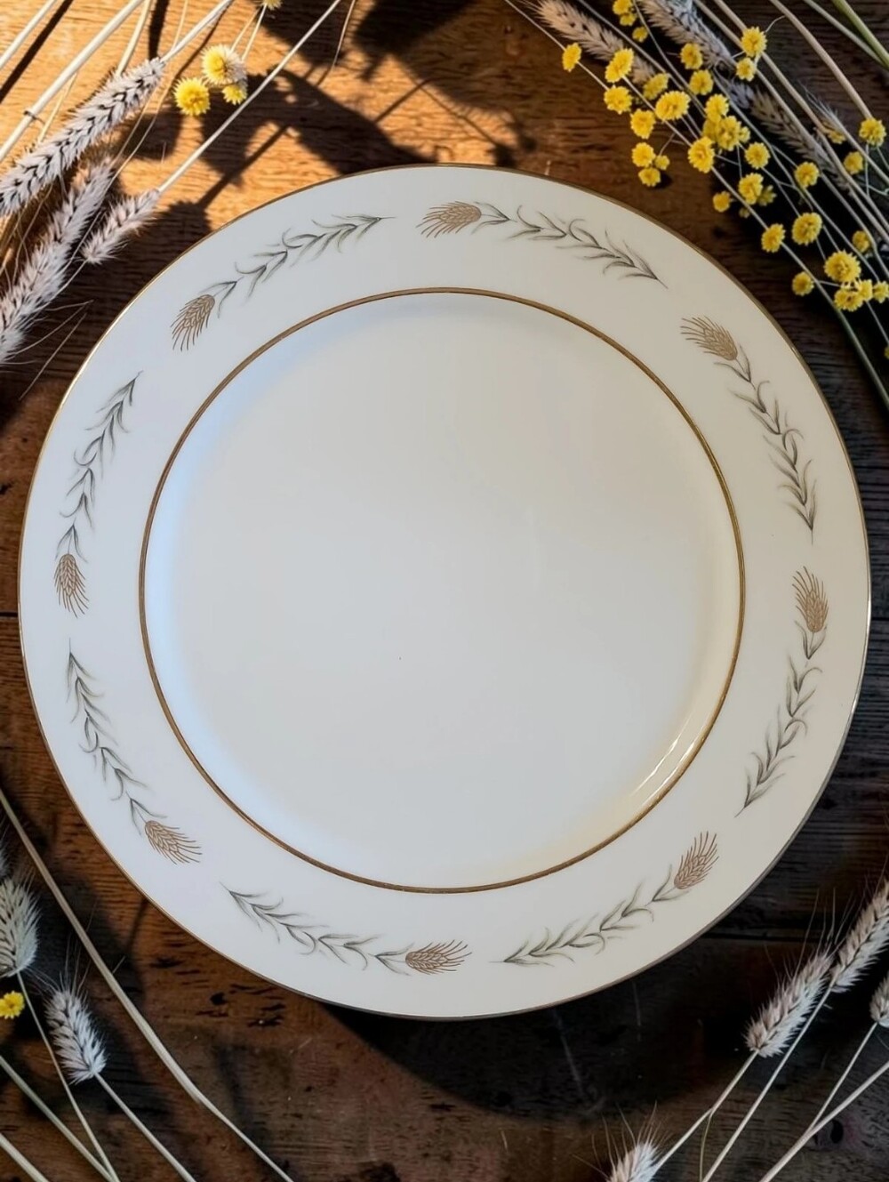 Vtg Grano Empress China Japan 10 3/8" Dinner Plate Wheat Gold Trim 1813